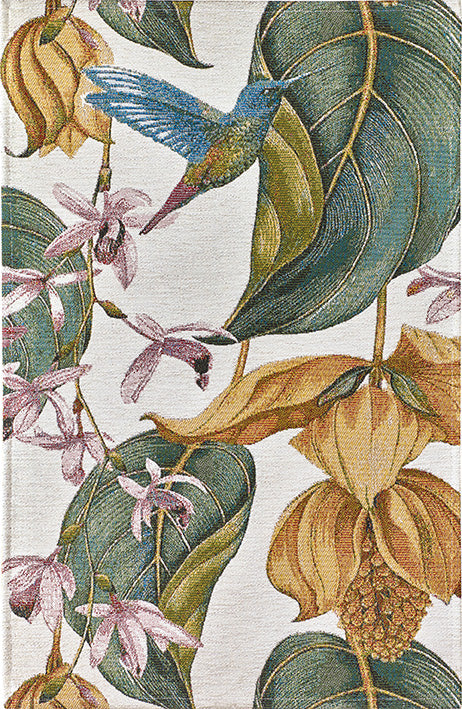 Kilimas Coco' nature