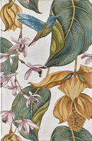 Kilimas Coco' nature